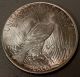 1922 D United States Peace Silver Dollar - Uncirculated - White Dollar Dollars photo 1