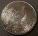 1923 United States Peace Silver Dollar - Uncirculated - White Dollar Dollars photo 1