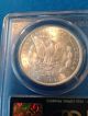 1883 Cc Morgan Silver Dollar Ms65 Rated By Pcgs Dollars photo 5