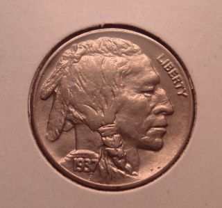 1937 Buffalo Nickel - - - Plenty Of Luster photo