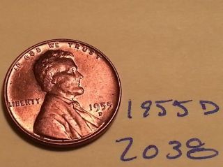 1955 D Lincoln Cent Fine Detail Great Coin (2038) Wheat Back Penny photo