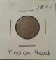 1895 Indian Head Penny Coin Small Cents photo 1