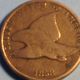 1858 Sl Flying Eagle Cent Small Cents photo 2