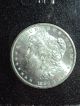 1883 - Cc Carson City $1 Gsa Morgan Silver Dollar Uncirculated Gsa Holder & Dollars photo 7