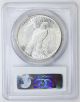 1928 Peace Silver Dollar Ms 63 Pcgs (8345) Dollars photo 1