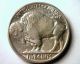 1916 Buffalo Nickel Choice About Uncirculated++ Ch.  Au++ Coin Nickels photo 1