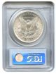 1883 - O $1 Pcgs Ms64 Morgan Silver Dollar Dollars photo 1