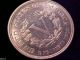 1883 Liberty Nickel 5c N/c No Cent Bright Lustrous Gem Bu Quick Nickels photo 5
