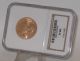 - Ngc Graded Solid Gold 1894 $10 Liberty Eagle - Usa Coin Gold photo 2