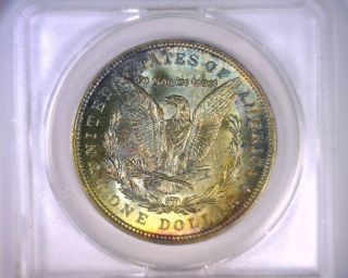 Ms63 Anacs Beautifully Toned 1921 Vam 3 Morgan Silver Dollar U.  S.  Coin 1921 photo