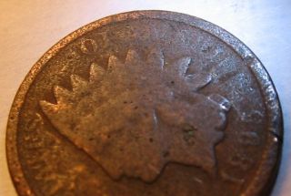 1895 Indian Head Penny Defective Die Missing Clad Layer Error. . . photo