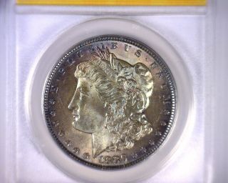 Ms60 Anacs Beautifully Toned 1886 Morgan Silver Dollar U.  S.  Coin 1886 photo