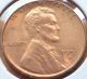1951 S Uncirculated Reddish/brown Lincoln. . Small Cents photo 1