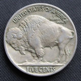 Buffalo Nickel 1919 Coin photo