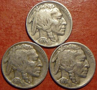 1936 P,  D&s Indian Head Buffalo Nickels,  F+ photo