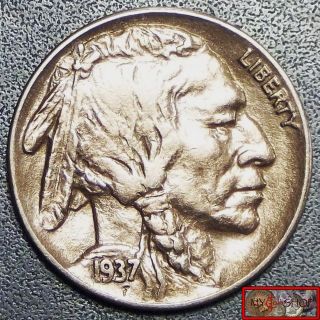 Striking 1937 - S Buffalo Nickel Full Horn And Date,  Unc,  Bu,  Ms,  Details photo