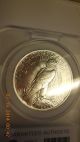 1922 P Peace Dollar - Rare Gem Outstanding - - Compare To Others - Dollars photo 3