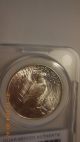 1922 P Peace Dollar - Rare Gem Outstanding - - Compare To Others - Dollars photo 4