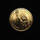 Uncirculated Us Presidential Gold Dollar Coin,  2013,  Theodore Roosevelt,  P Dollars photo 1