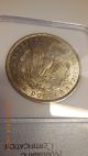 1881 - O Morgan Silver Dollar - A Challenge To Find - Rare In This - A+++++ Dollars photo 4