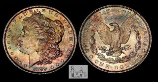 1889 (p) Gem Brilliant Uncirculated Bu Unc Toned Morgan Silver Dollar Bl 2 photo