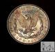 1889 (p) Gem Brilliant Uncirculated Bu Unc Toned Morgan Silver Dollar Bl 2 Dollars photo 2