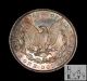 1889 (p) Gem Brilliant Uncirculated Bu Unc Toned Morgan Silver Dollar Bl 2 Dollars photo 4