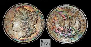 1889 (p) Choice Brilliant Uncirculated Bu + Unc Toned Morgan Silver Dollar Bl 2 photo