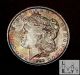 1889 (p) Brilliant Uncirculated Bu Unc Toned Morgan Silver Dollar Bl 5 Dollars photo 1