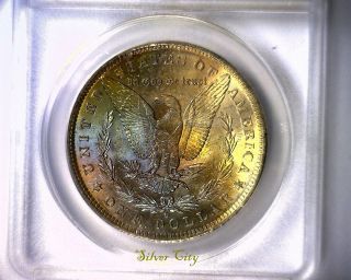 Ms63 Anacs Beautifully Toned 1884o Morgan Silver Dollar U.  S.  Coin 1884 O photo