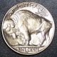Brilliant 1937 - D Buffalo Nickel Unc,  Full Horn And Date Showing, Nickels photo 1
