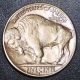 Lustrous 1936 - S Buffalo Nickel Bu,  Ms,  Unc,  Full Horn And Date, Nickels photo 1