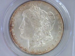 1891 - Cc $1 Vam 2 Morgan Silver Dollar Pcgs Ms 61 photo
