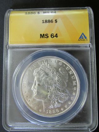 1886 Morgan Silver Dollar Anacs Ms64 Screaming White Silver Luster Gorgeous Coin photo