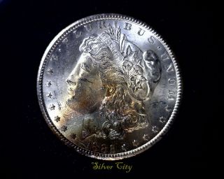 Gsa 1882 - Cc Vam 3d R7 Anacs Ms64 Morgan Silver Dollar United States Coin photo