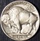 Rare 1929 - S Buffalo Nickel Full Date With Horn Quality Coin Lqqk Now Nickels photo 1