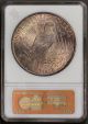 1924 Anacs Ms63 In Old Style White Slab With Gold Foil Reverse Dollars photo 1