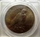 1926 $1 Peace Dollar Ms64,  Gold Toning.  Strike,  Sharp Coin Dollars photo 2