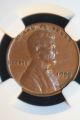 1955 Wheat Cent Double Die Ngc Au 50 Brown Small Cents photo 2