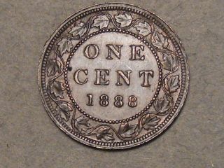 1888 Canadian Large Cent (uncirculated) 302a photo
