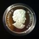 2012 Canada Glass Bumble Bee Aster Coin $20 9999 Silver Coin W/ Case & Coins: Canada photo 1