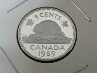 1989 Proof Canadian Canada Beaver Nickel Five 5 Cent photo
