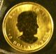L@@k - - - 2 Bu Canadia 1/4 Ounce Gold Maple Leafs - 2009 & 2012 Coins: Canada photo 1