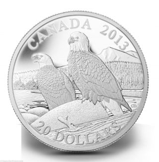 Canada 2013 The Bald Eagle: Lifelong Mates,  99.  99 Silver,  2nd Coin In Series photo