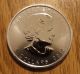 2013 Canada Silver Maple Leaf 1 Troy Oz 5 Dollar Coin Bu Uncirculated.  9999 Coins: Canada photo 1