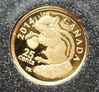 2014 0.  5 G Pure Gold Coin - Chipmunk 25 Cents Canada photo