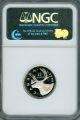 2006 Canada Silver 25 Cents Ngc Pr - 69 Ultra Heavy Cameo Coins: Canada photo 3