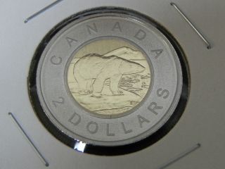 2011 Specimen Unc Canadian Canada Polar Bear Toonie Two $2 Dollar photo