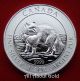 Canada Silver Coin 1 1/2 1.  5 Oz 2014 Snow Arctic Fox Royal.  9999 Fine Bu Coins: Canada photo 2