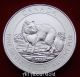 Canada Silver Coin 1 1/2 1.  5 Oz 2014 Snow Arctic Fox Royal.  9999 Fine Bu Coins: Canada photo 3
